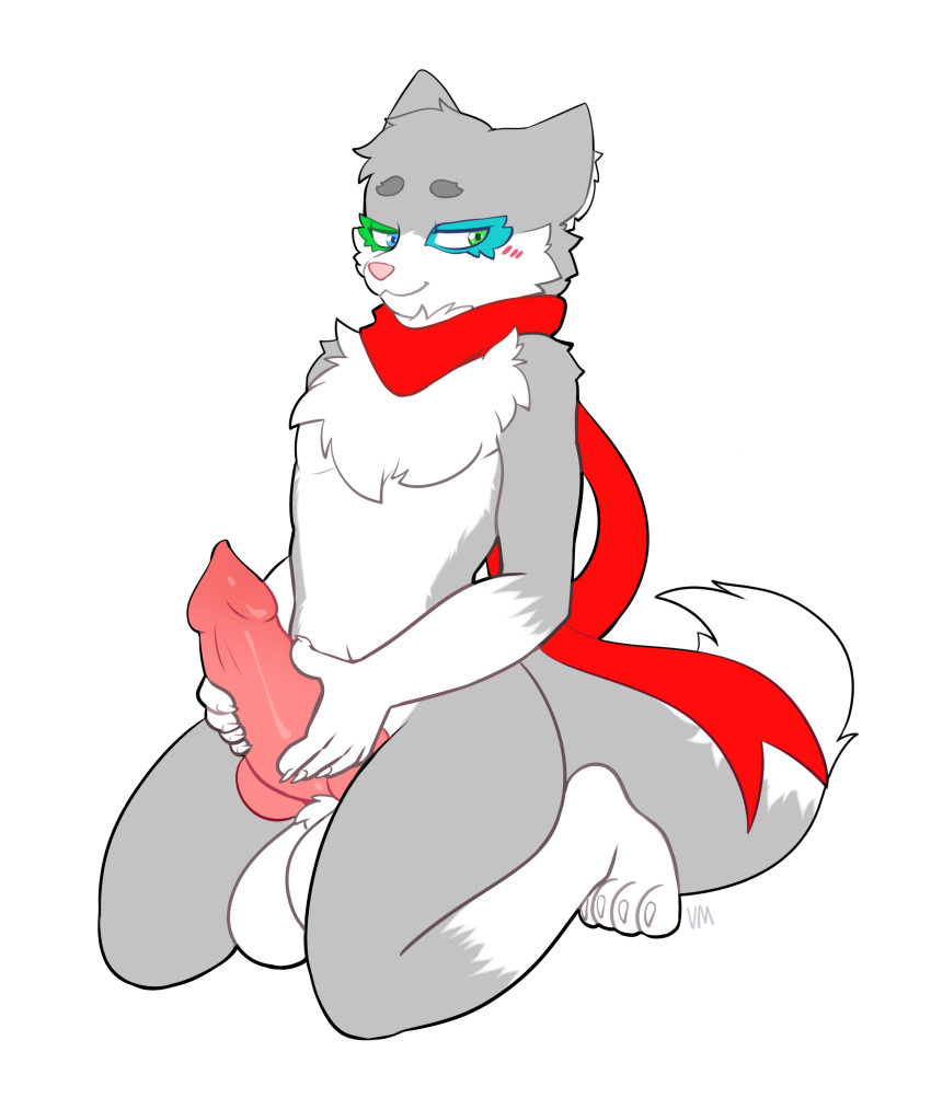 absurd_res anthro balls big_balls big_penis blush blush_lines canid canine canis fur genitals hand_on_penis hi_res inner_ear_fluff knot male male_only mammal neck_tuft penis scarf solo tuft villmix wolf wolf_wolfindeir