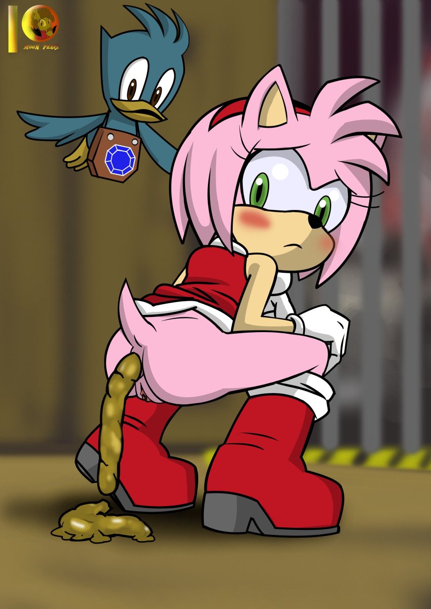 adorable amy_rose anus ass bare_ass bending_over bent_legs bird blue_feathers blush boots bottomless clitoris clothing cute defecating defecation dress embarrassed eyelashes female flicky furry gloves green_eyes hairband hedgehog indoors innocent legs long_eyelashes looking_back looking_down mammal moon_pearl nervous nervous_face pink_fur pink_hair pink_skin pooping_on_floor red_boots red_dress red_hairband scat sega skirt_lift sleeveless_dress sonic_(series) sonic_the_hedgehog_(series) tail vagina white_gloves