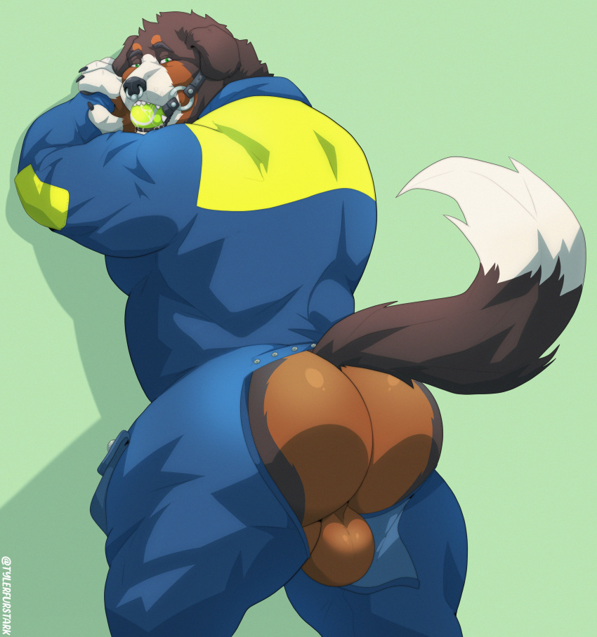 2022 absurd_res animal_humanoid anthro ass ass_focus ass_view backsack ball_gag balls bara bara_ass barazoku bedroom_eyes big_ass big_ass_(male) big_balls big_butt big_muscles bubble_ass bubble_butt canid canine canis claws clothed clothing dat_ass dat_butt domestic_dog dumptruck_ass dumptruck_butt fat_ass fat_butt fur gag gagged gay genitals green_background hi_res huge_ass huge_balls huge_butt huge_muscles humanoid jumpsuit large_ass large_butt looking_at_viewer male male_only mammal massive_ass massive_butt muscle_ass muscle_butt muscular muscular_anthro muscular_ass muscular_butt muscular_male narrowed_eyes plump_ass plump_butt presenting presenting_hindquarters round_ass round_butt seductive shadow simple_background solo standing thick_thighs tuft tylerstark