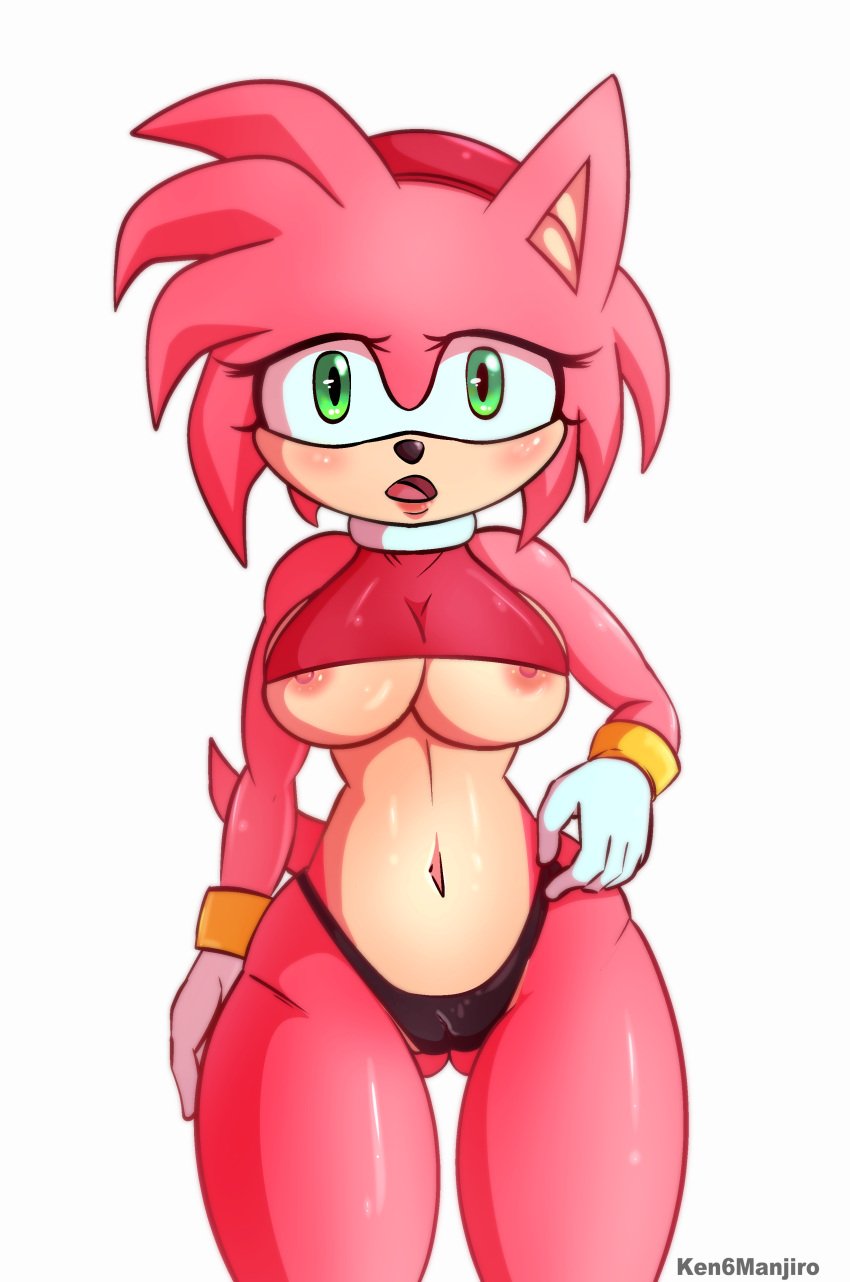 1girls amy_rose big_breasts big_nipples breasts furry looking_at_viewer nipples panties sonic_(series) soteyhime tight_clothing