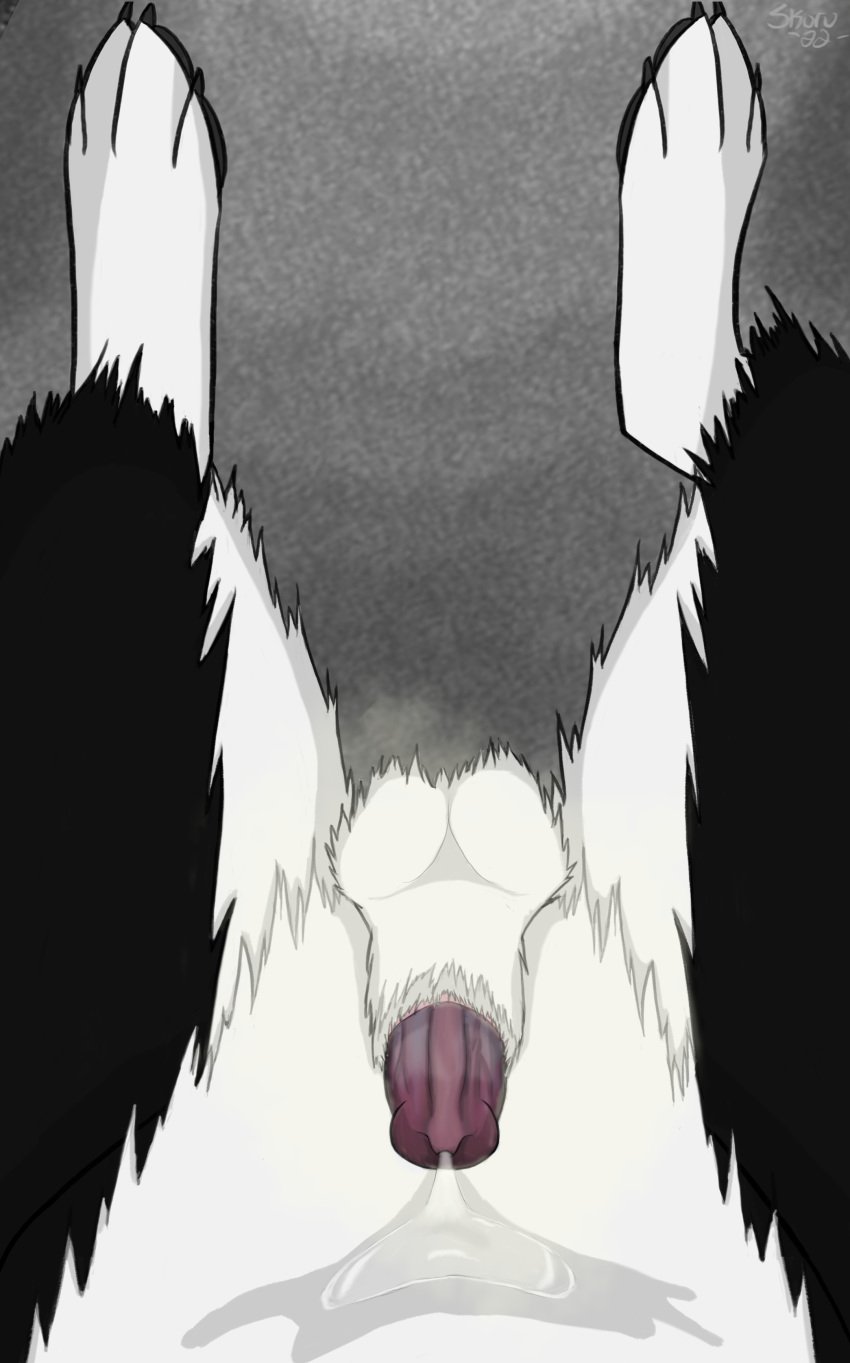 absurd_res anatomically_correct anatomically_correct_genitalia anatomically_correct_penis animal_genitalia animal_penis anthro balls bodily_fluids border_collie canid canine canine_penis canis collie digitigrade domestic_dog first_person_view fur genital_fluids genitals herding_dog hi_res male male_only mammal musk musk_clouds pastoral_dog penis precum sheath sheepdog skuru skuru_(character) solo wet wet_body wet_fur