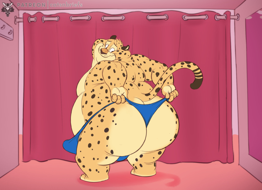 2022 anthro ass benjamin_clawhauser big_butt bulge butt_focus cedamuc1 cheetah colored disney erection felid feline hi_res huge_butt large_ass looking_back male male_only mammal mostly_nude obese obese_anthro obese_male oiruse overweight overweight_anthro overweight_male rear_view shaded speedo standing swimsuit swimwear thick_thighs wide_hips zootopia