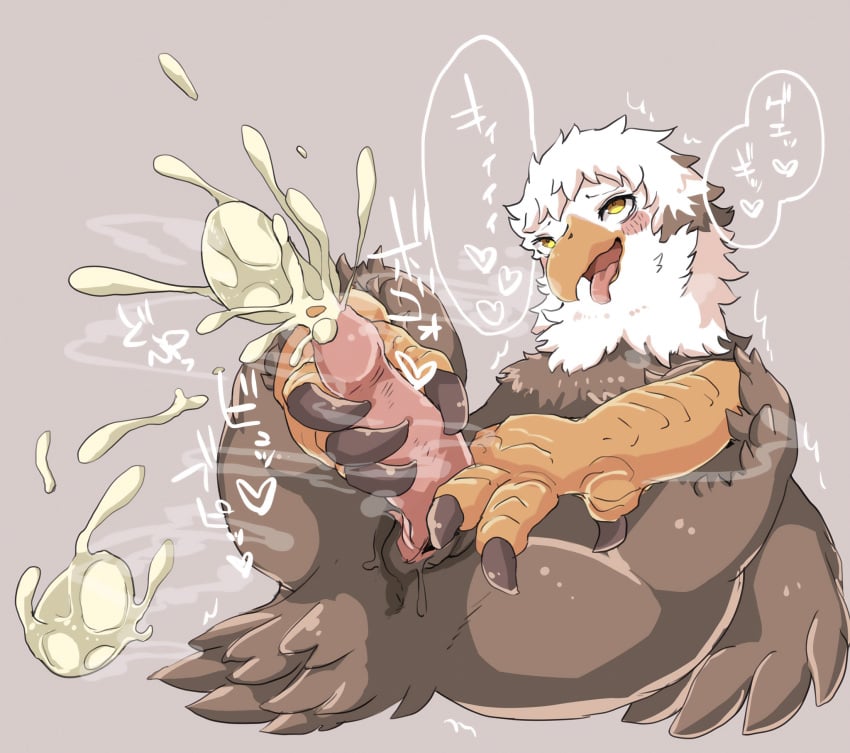 1boy 2022 4_toes accipitrid accipitriform after_transformation anakitsune animal_genitalia anisodactyl anthro avian bald_eagle bird blush bodily_fluids brown_body brown_feathers claws cloaca cloacal_penis cum digital_media_(artwork) eagle edit egg egg_laying ejaculating_cum ejaculation feathers feet genital_fluids genitals heart hi_res human_to_anthro japanese_text looking_pleasured male male_egg_laying male_only multicolored_body multicolored_feathers open_mouth orgasm orgasm_face ovipositor_penis penis prehensile_feet sea_eagle shaded simple_background solo solo_male tail talons text toes tongue tongue_out transformation two_tone_body two_tone_feathers uncensored urethral_egg_laying white_body white_feathers