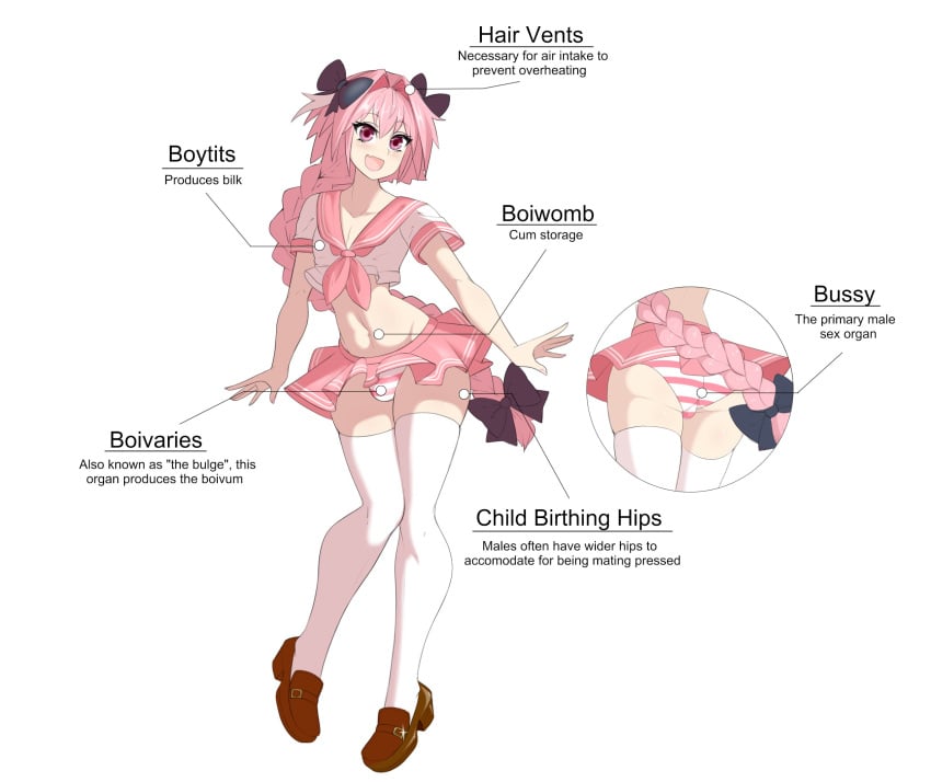 1boy absolute_territory astolfo_(fate) braided_ponytail bulge caption crossdressing diagram english_text fate/apocrypha fate/grand_order fate_(series) femboy femboy_only girly loafers male male_focus male_only meme midriff mouth_fang panties pantsu panty_bulge pink_eyes pink_hair pink_skirt ribbon school_uniform sealguy shimapan shoes short_skirt skirt solo solo_focus solo_male striped_panties text thigh_highs thighhighs tits two_tone_panties white_background