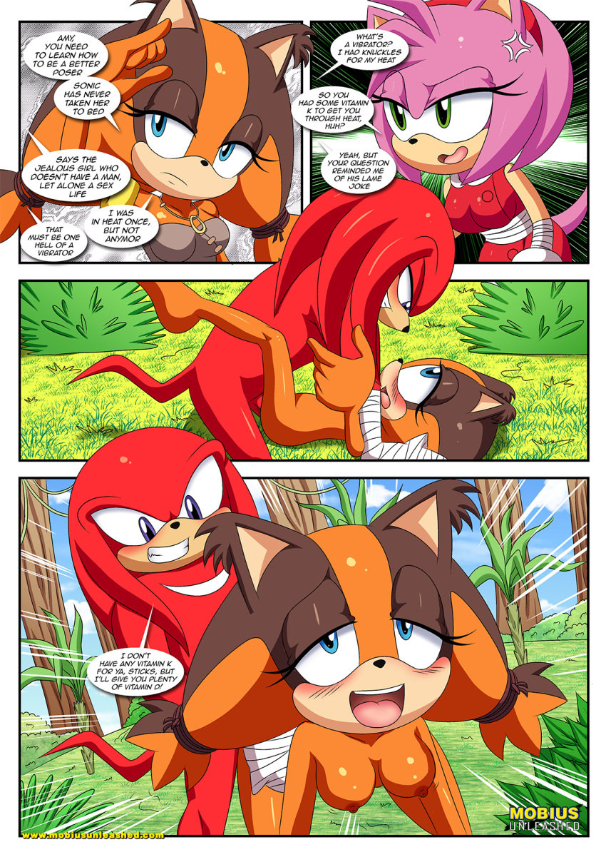 amy_rose amy_rose_(boom) bbmbbf breasts comic comic_page female knuckles_the_echidna male male/female mobius_unleashed nude palcomix penis sega sex sexy_boom_(comic) sonic_(series) sonic_boom sonic_the_hedgehog_(series) sticks_the_badger sticks_the_jungle_badger