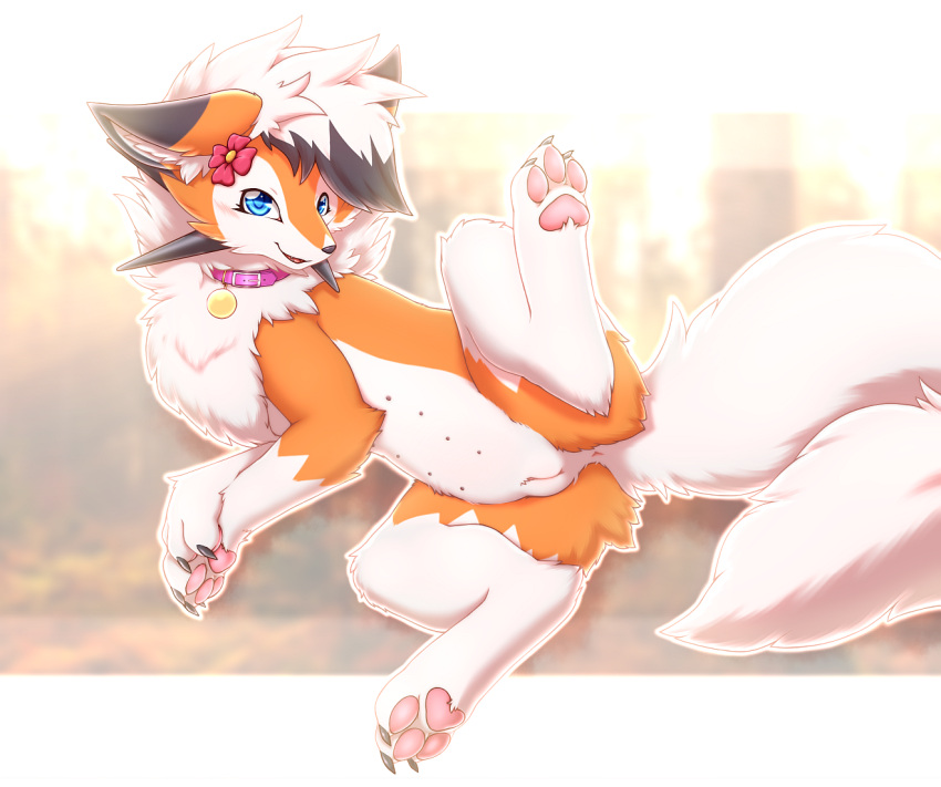 2022 3_toes alternate_version_at_source anus black_body black_fur black_hair blue_eyes canid canine claws collar dipstick_ears dusk_lycanroc feet female feral flower fluffy fluffy_tail fur genitals hair hazukikai humanoid_genitalia humanoid_pussy kemono lycanroc mammal multi_nipple multicolored_body multicolored_ears multicolored_fur multicolored_hair nintendo nipples orange_body orange_fur pawpads paws plant pokémon_(species) pokemon pussy raised_leg solo soulsong_(celestial_wolf) spikes spikes_(anatomy) toe_claws toes video_games white_body white_fur white_hair