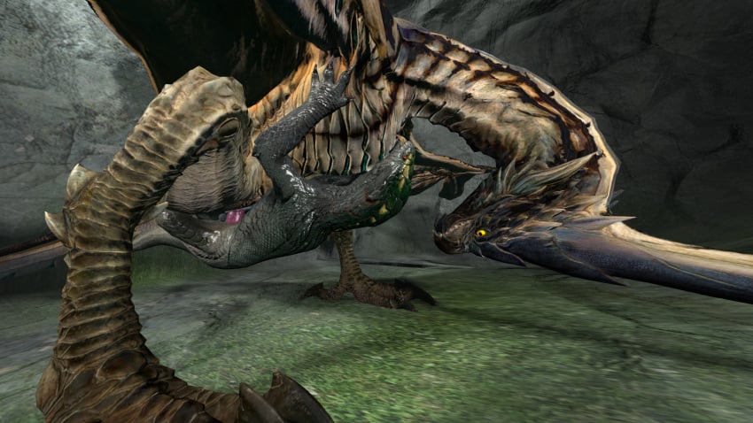 feral feral_on_feral girros larger_female legiana lizard monster_hunter on_back rabidus smaller_male wyvern