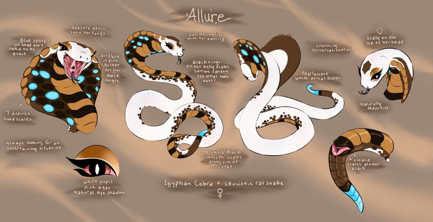 absurd_res animal_genitalia cloaca cobra english_text eyelashes fangs female female_symbol feral forked_tongue gender_symbol genitals gibbons hi_res horizontal_cloaca hybrid julien_(artist) model_sheet nude open_mouth reptile scalie snake snake_tongue solo symbol text tongue