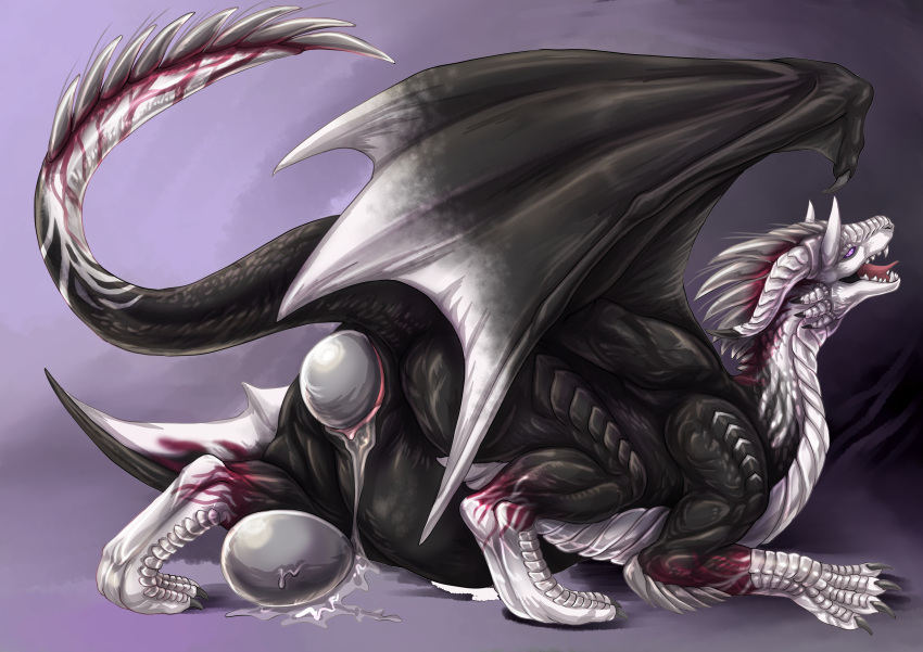 Absurd Res Rule 34 Image