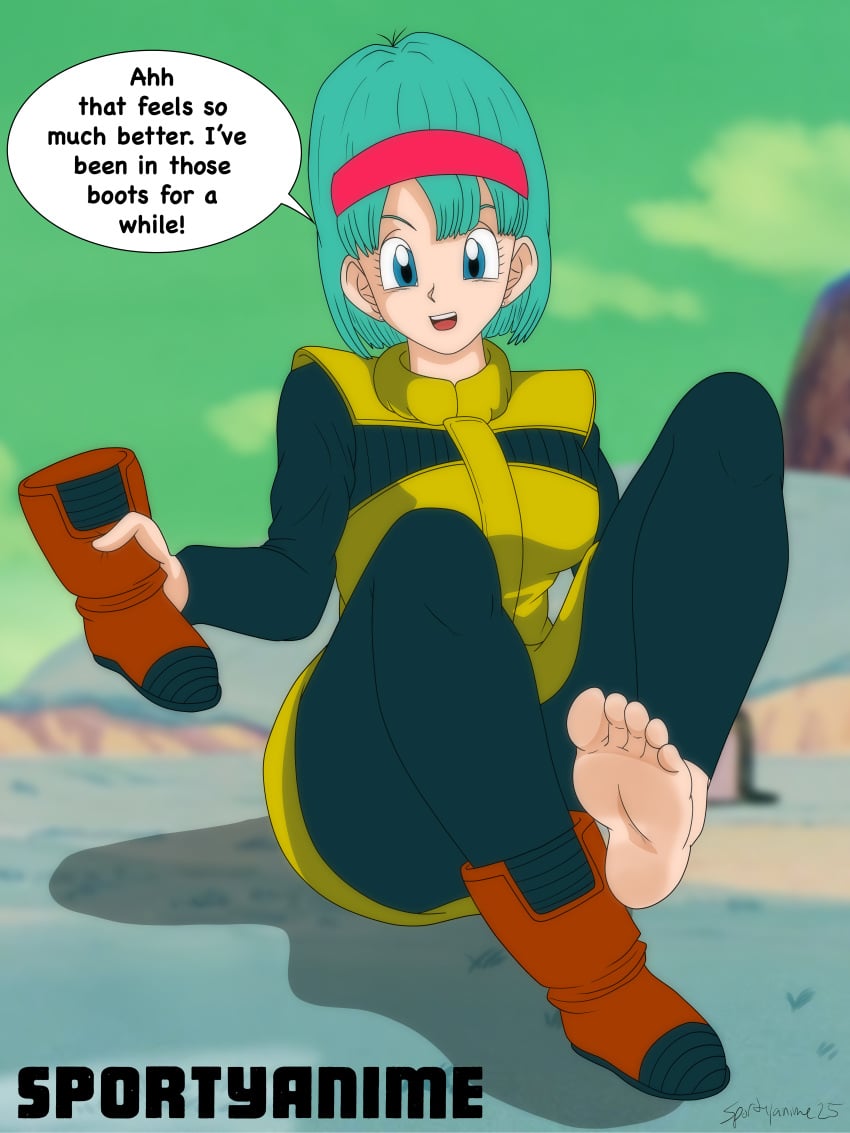 Bulma Briefs (Dragon Ball) Rule 34 Image