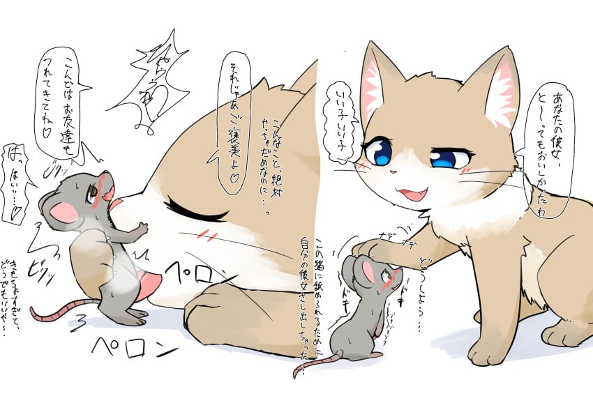 absurd_res ambiguous_gender blue_eyes blush brown_body brown_fur catfox22 comic domestic_cat duo erection felid feline felis fellatio feral fur genitals grey_body grey_fur handwritten_text hi_res japanese_text licking looking_pleasured mammal mouse multicolored_body multicolored_fur murid murine oral oversized_fellatio oversized_oral penile penis penis_lick penis_on_tongue petting predator/prey rodent sex size_difference text tongue tongue_out translation_request two_tone_body two_tone_fur white_body white_fur