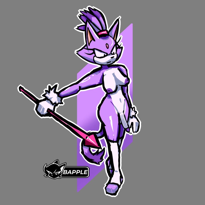 Blaze The Cat (Sonic (Series)) Rule 34 Image