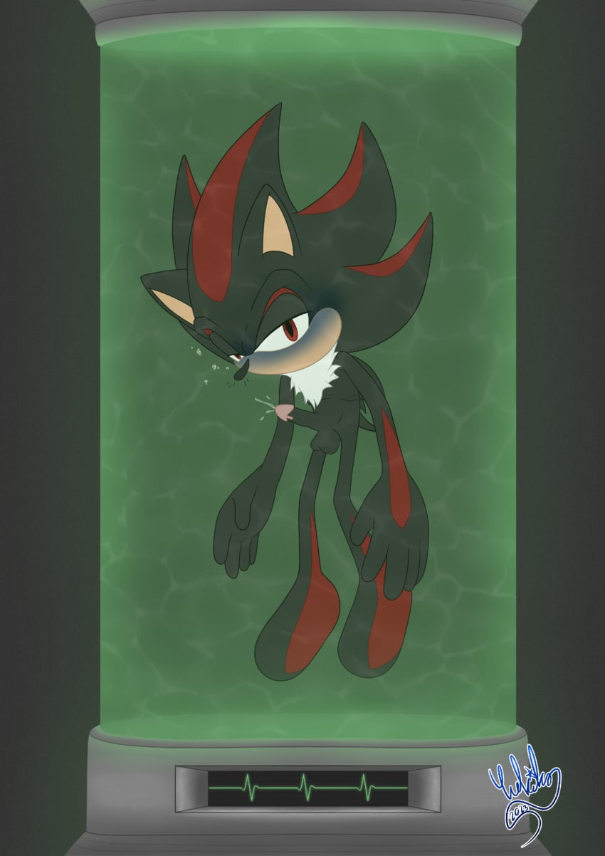 Shadow The Hedgehog (Sega) Rule 34 Image