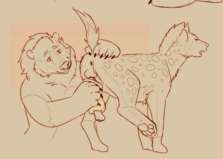 animal_genitalia anthro anthro_on_feral anus brown_bear chubby_anthro chubby_male duo female feral genitals grizzly_bear hair hand_on_butt hyaenid kuruk_(character) mammal mane mane_hair masturbator pseudo-penis pseudo_balls raised_leg raised_tail slightly_chubby spotted_hyena thehuskydragon ursid ursine zoophilia