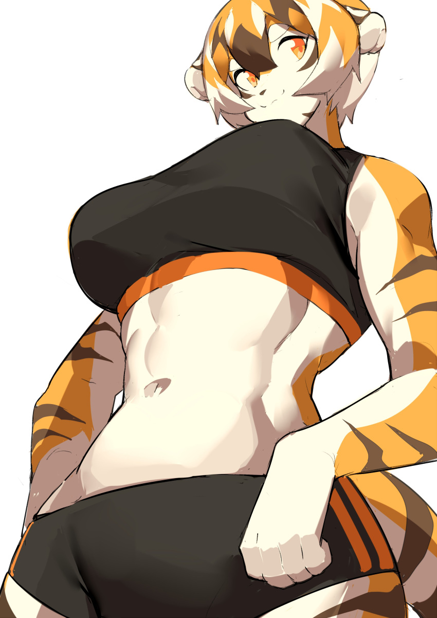 1girls anthro arknights aspirindabaitu big_breasts breasts female fit mx99926 solo solo_female tagme tiger tiger_girl waai_fu_(arknights)