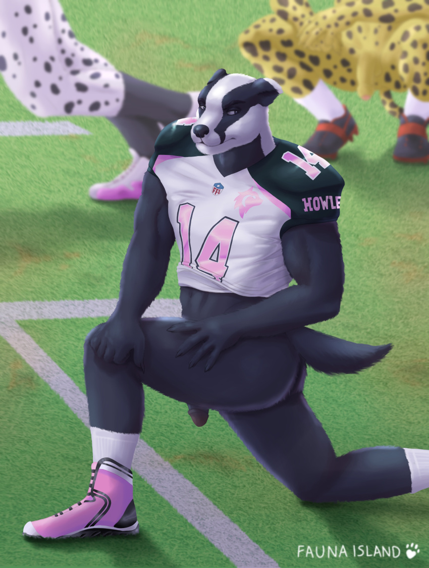 absurd_res anthro ass badger butt clothing exercise fauna_island football_(disambiguation) game_(disambiguation) genitals hi_res jock male male_only mammal muscular mustelid musteline penis players solo sport uniform