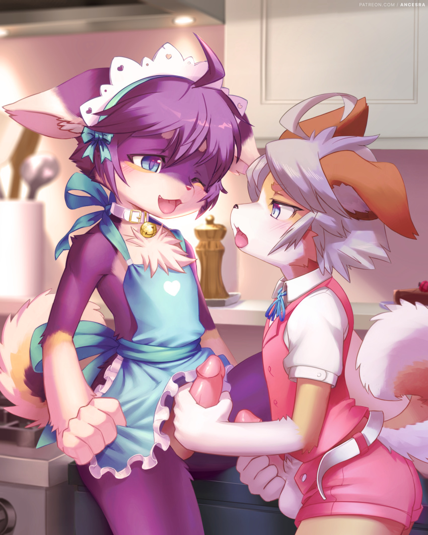 2boys :3 ahoge ancesra animal_ear_fluff animal_ears animal_nose apron apron_lift artist_name bangs bare_shoulders bell belt blue_apron blue_eyes blue_ribbon blurry blurry_background blush body_fur buttons cake cake_slice collar collared_shirt commentary commission cowboy_shot dog_ears dog_tail ears_down english_commentary erection eye_contact food frilled_apron frills from_side furry furry_male grey_hair half-closed_eye half-closed_eyes handjob happy heart highres indoors jingle_bell kitchen leg_up looking_at_another maid_headdress male_focus male_masturbation masturbation multiple_boys naked_apron neck_bell neck_ribbon non-web_source oerba_yun_fang one_eye_closed open_clothes open_fly open_mouth open_shorts original patreon_username penis pink_shorts pink_vest profile purple_fur ribbon shiny shiny_hair shirt short_hair short_shorts short_sleeves shorts sidelocks smile snout spread_legs standing stove tail testicles tongue tongue_out two-tone_fur unbuttoned vest watermark white_fur white_shirt yaoi yellow_fur