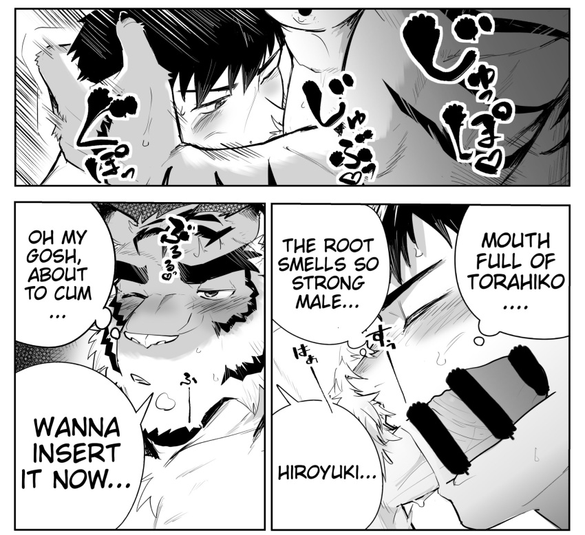 anthro anthro_penetrating anthro_penetrating_human censor_bar censored closed_eyes duo english_text felid fur genitals hair hi_res hiroyuki_(morenatsu) human human_on_anthro human_penetrated imminent_orgasm internal interspecies japanese_text larger_anthro larger_male looking_pleasured male male/male male_penetrated male_penetrating male_penetrating_male mammal morenatsu muscular muscular_anthro muscular_male oral oral_penetration pantherine penetration penis saikorodekimeru sex size_difference smaller_human smaller_male smaller_penetrated speech_bubble striped_body striped_fur stripes text tiger torahiko_(morenatsu) video_games visual_novel