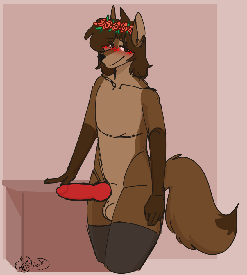 Commander (Commanderthings) Rule 34 Image