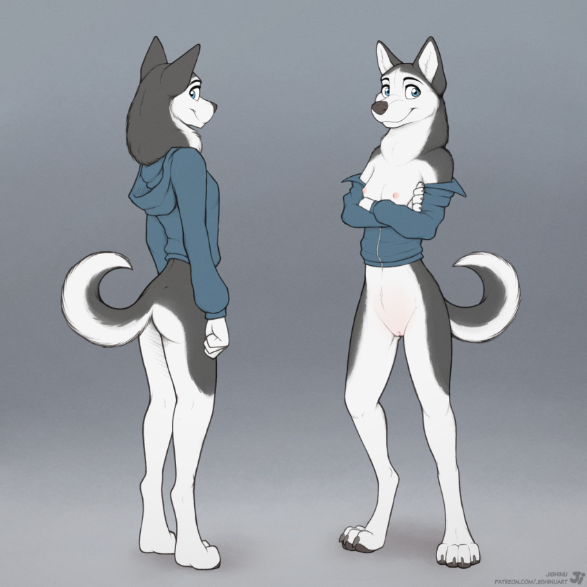 2022 4_fingers 4_toes anthro ass blue_eyes bottomless breasts canid canine canis casual_bottomless claws clothed clothing domestic_dog feet female fingers fur furry furry_only genitals grey_body grey_fur hana_(jishinu) hi_res hoodie husky jishinu mammal multicolored_body multicolored_fur nipples nordic_sled_dog partially_clothed pussy solo spitz standing tail text toe_claws toes topwear url white_body white_fur