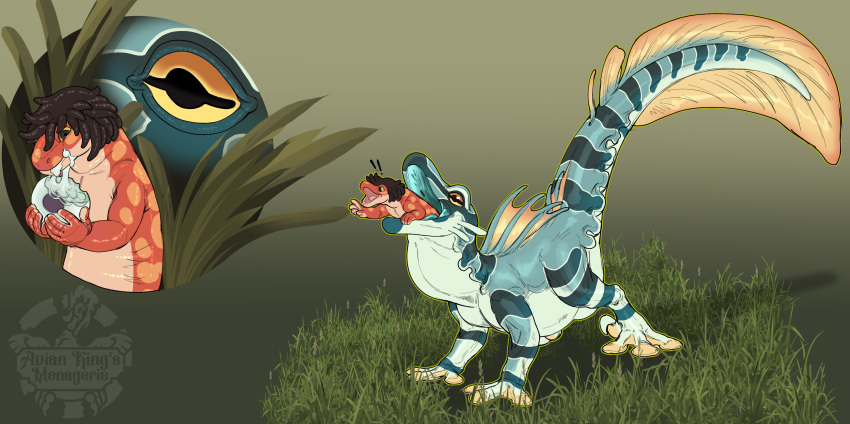 Salamander (Amphibian) Rule 34 Image