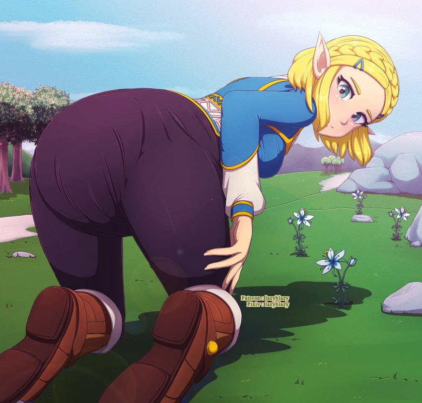 all_fours breath_of_the_wild diaper diaper_under_clothing female flowers lazyblazy_(artist) looking_at_viewer looking_back princess_zelda tears_of_the_kingdom the_legend_of_zelda zelda_(tears_of_the_kingdom)