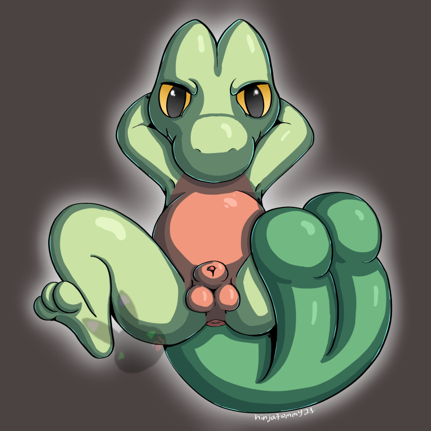Generation 3 Pokemon (Nintendo) Rule 34 Image
