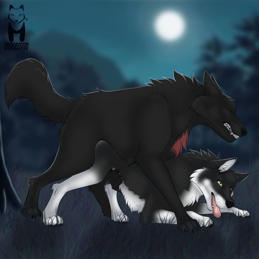 black_body black_fur canid canine canis doggy_style duo female feral feral_on_feral from_behind_position full_moon fur hi_res hyprkitty male male/female mammal moon night paws sex tongue tongue_out white_body white_fur wolf yellow_eyes