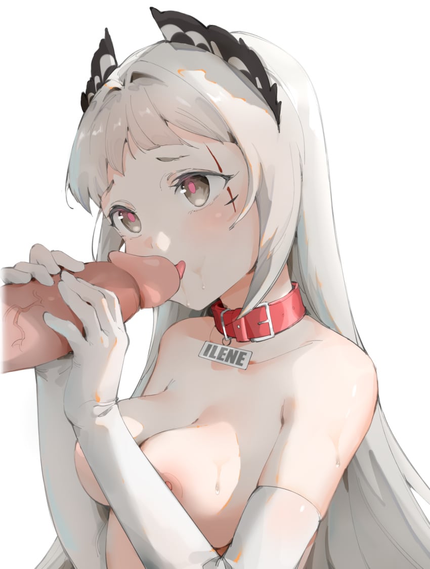 1boy 1girls absurdres animal_costume arknights breasts character_name collar elbow_gloves erection fellatio female gloved_handjob gloves grey_eyes grey_hair handjob head_wings highres irene_(arknights) licking licking_penis light-skinned_female light-skinned_male light_skin long_hair medium_breasts nipples nude oral pale-skinned_female pale_skin penis playing_penis_like_flute red_collar red_pupils scar scar_across_eye shin_maboroshi simple_background solo_focus two-handed_handjob uncensored upper_body white_background white_gloves