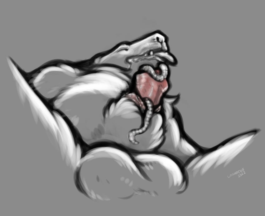 anatomically_correct anatomically_correct_genitalia anatomically_correct_penis animal_genitalia animal_penis anthro balls bodily_fluids brown_bear drooling genitals grizzly_bear hair infestation kuruk_(character) loonertick male mammal mane mane_hair parasite_in_urethra penetration penis penis_tip pleased_expression saliva sheath sheath_penetration sheath_play slightly_chubby solo tip_showing tongue tongue_out urethral urethral_penetration ursid ursine ursine_penis worm worm_infestation