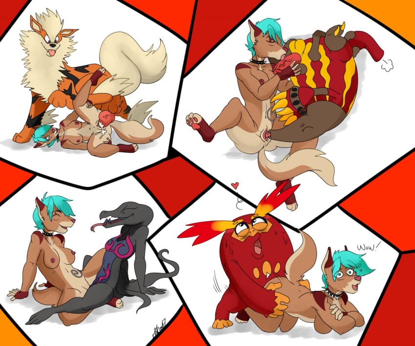 2017 2girls 3boys 69 69_position anthro arcanine blue_hair breasts cunnilingus darmanitan feral furry heatmor large_breasts nelsonnoir nintendo nipples original_character pawpads pokemon pokemon_(species) pokemon_bw pokemon_rgby pokemon_sm red_fur salazzle spiked_collar yuri