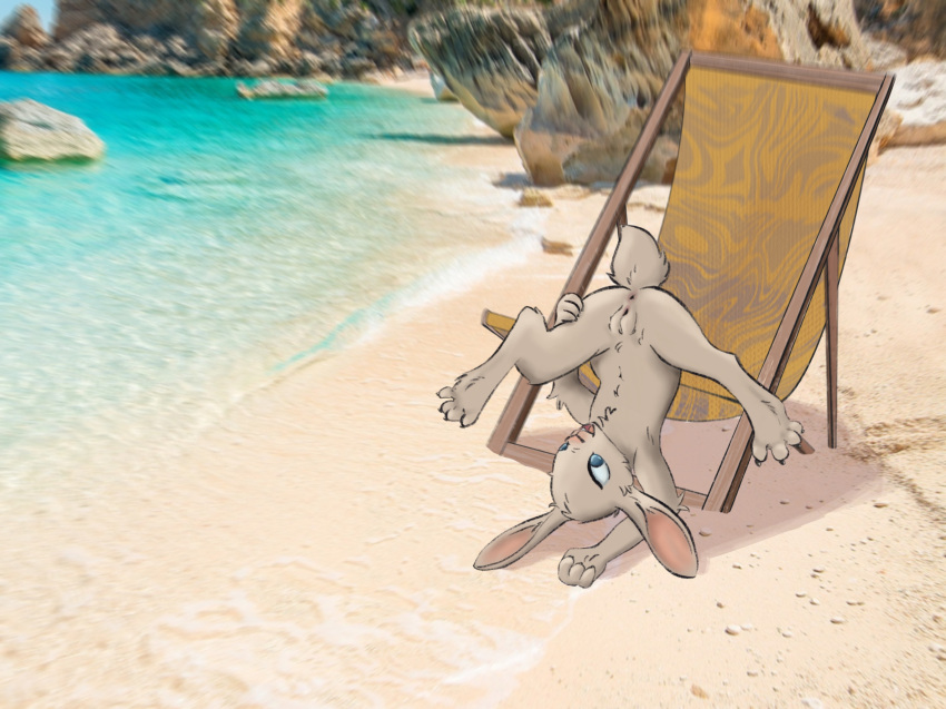 anus ass beach chest_tuft deckchair disnomia female genitals hi_res lagomorph leporid mammal nude open_mouth paws presenting presenting_anus presenting_hindquarters presenting_pussy pussy rabbit seaside solo solo_focus sunbathing tuft