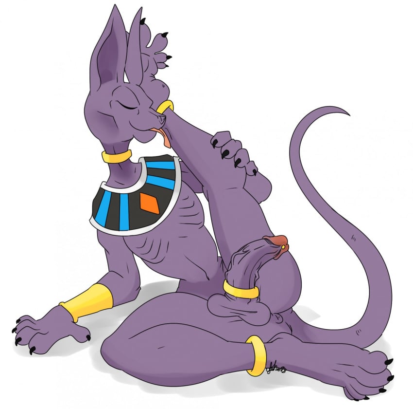 anklet anthro anthro_only anus beerus boner claws closed_eyes cock_ring dragon_ball dragon_ball_super egyptian erection furry genital_piercing licking_leg licking_self male male_focus male_only nelsonnoir penis_piercing purple_fur solo tail