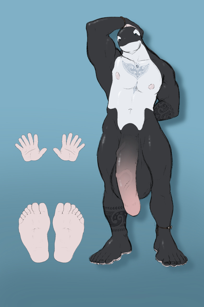 absurd_res anklet anthro balls big_balls big_penis cetacean delphinoid feet flaccid genitals hand_on_head hi_res huge_balls huge_cock hyper hyper_balls hyper_genitalia hyper_penis jewelry male mammal marine morguntheorc multi_digit multi_finger multi_toe nude oceanic_dolphin orca penis plantigrade soles solo standing tattoo toothed_whale