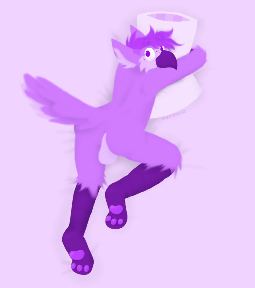 anthro ass avian backsack balls fondant_(fondoffondant) fondoffondant freckles fur genitals hair hi_res looking_at_viewer lying male on_front pawpads paws pillow pillow_hug purple_body purple_eyes purple_fur purple_hair simple_background solo