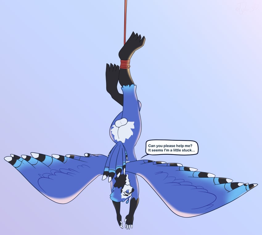 absurd_res anthro avian balls beak bird blue_body blue_eyes blue_feathers bondage bound feathers furry genitals hanging_by_feet hi_res humanoid looking_at_viewer male nude simple_background solo speech_bubble spread_wings text tyler_3d_(artist) wings