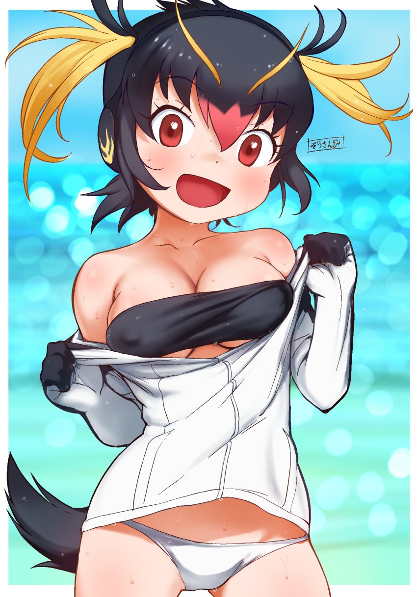 :d bangs bare_shoulders black_hair blonde_hair breasts cleavage clothes_pull clothing covered_erect_nipples cowboy_shot erect_nipples erect_nipples_under_clothes eyebrows_visible_through_hair female female female_only female_solo hair_between_eyes headphones high_resolution kemono_friends looking_at_viewer masuyama_ryou medium_breasts multicolored_hair nipples off_shoulder open-mouth_smile open_mouth pantsu red_eyes red_hair rockhopper_penguin_(kemono_friends) shirt_pull short_hair smile solo tail two_side_up underwear water_drop wet white_panties white_underwear