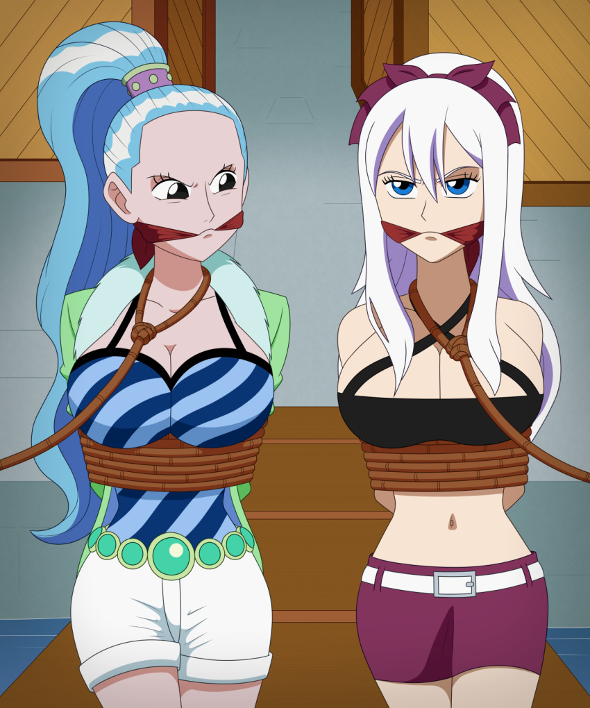 angry blue_hair bondage cleave_gag fairy_tail female female_only gag imightbemick mirajane_strauss miss_wednesday nefertari_vivi one_piece rope_bondage white_hair