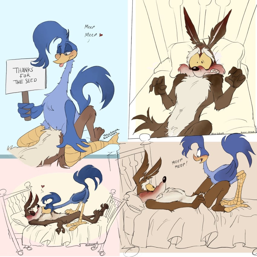 Road Runner (Looney Tunes) Rule 34 Image