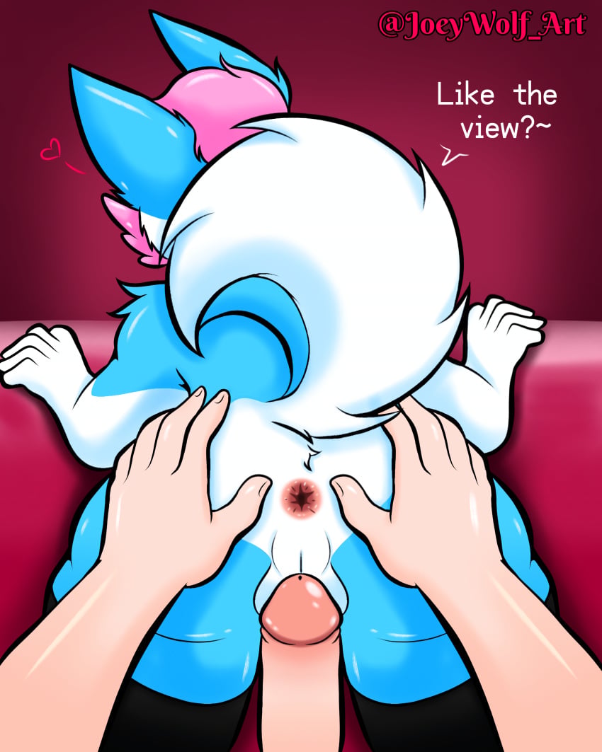 Joey Wolfhound (Joey Wolf) Rule 34 Image