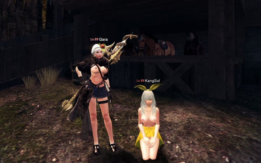 dcinside heroes keisen mabinogi nude vindictus