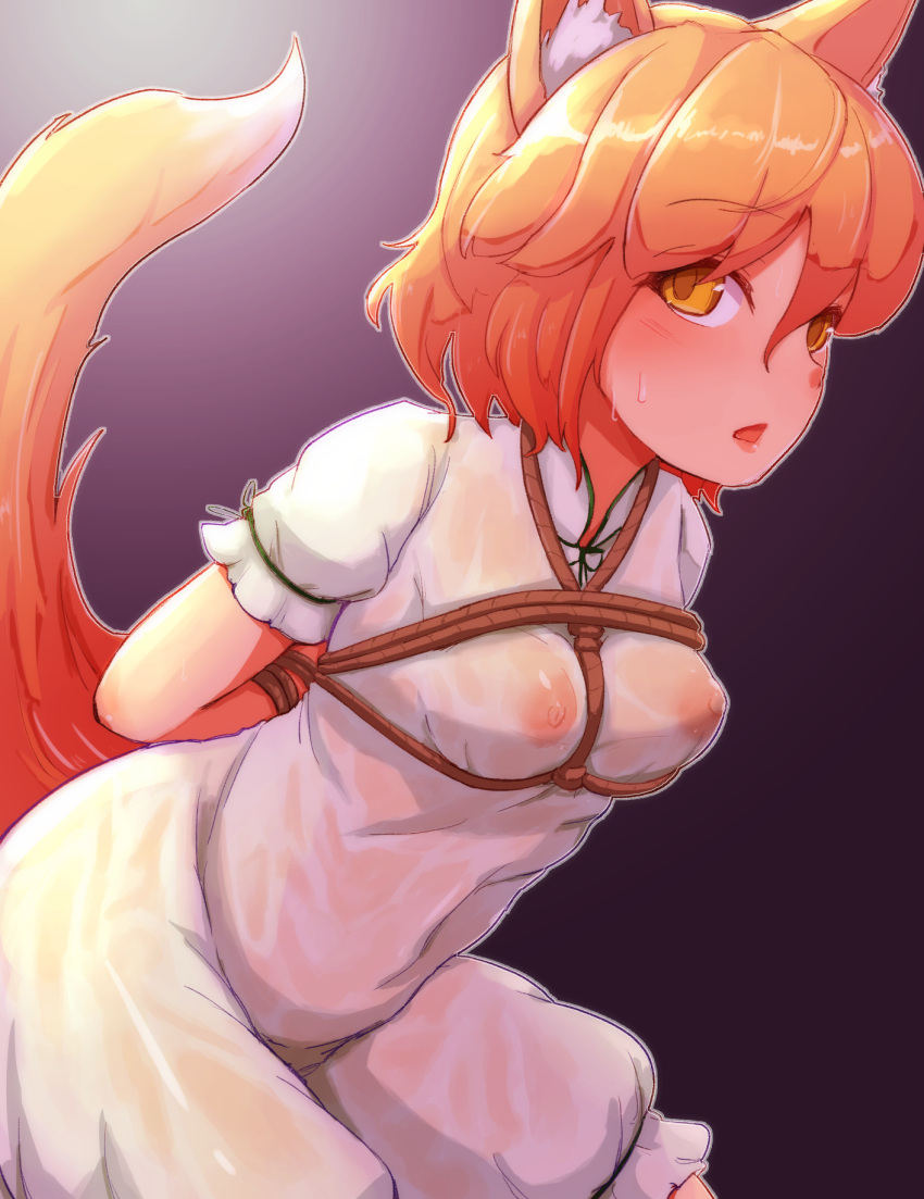 animal_ears arms_behind_back blonde_hair blush bondage bondage bondage bound breasts dress female female fox_ears fox_tail highres kaabon_meshi kudamaki_tsukasa looking_at_viewer multiple_tails nipples open_mouth rope see-through short_hair short_sleeves solo sweat tail touhou yellow_eyes