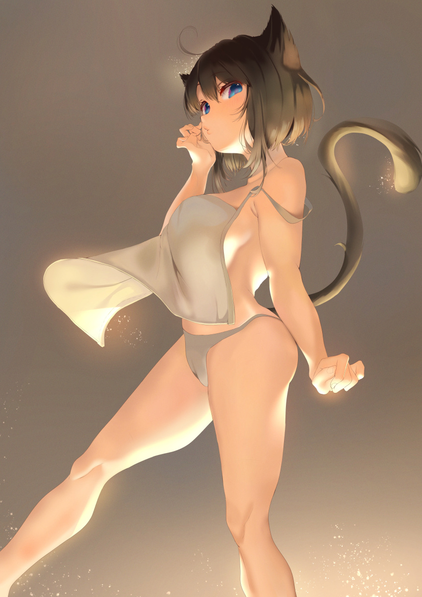 absurdres animal_ears apron ass black_hair blue_eyes blush breasts brown_hair cat_ears cat_girl cat_tail commentary_request female highres inushima looking_at_viewer original panties short_hair solo tail underwear white_panties