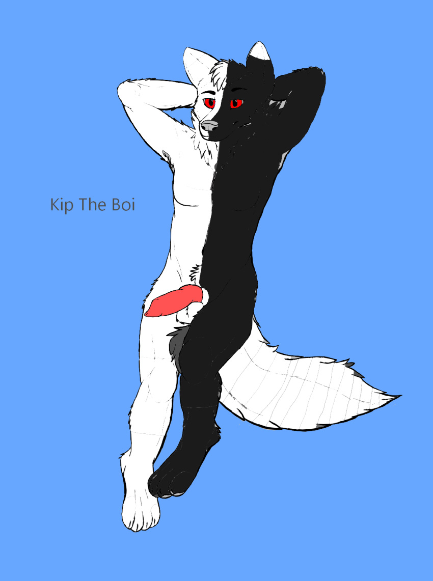 Animal Genitalia Rule 34 Image