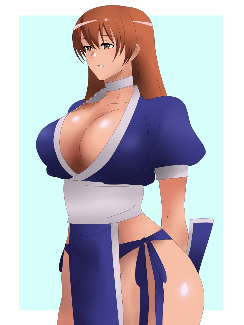 absurdres arms_behind_back big_sister breasts brown_eyes brown_hair choker cleavage dead_or_alive female highres hip_focus japanese_clothes kagemusha kasumi_(doa) large_breasts long_hair no_bra no_panties onee-chan pelvic_curtain solo thighs