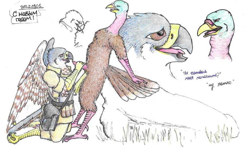 anthro avian beak bird brown_body brown_feathers closed_eyes dialogue duo falcon falconid feathers galliform genitals grass grey_body grey_feathers hand_on_penis hi_res leaning_on_object looking_at_another looking_at_partner male male/male narrowed_eyes new_year_2022 oral penis phasianid plant rock shabnack shabnack_(artist) striped_feathers talons toe_talons tongue tumeruk turkey wings