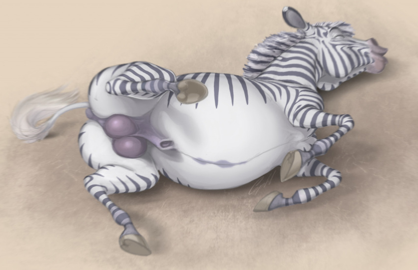 animal_genitalia balls belly black_stripes cephl dark_balls equid equine feral fur genitals hooves male mammal mane markings rolling sheath smile solo striped_body striped_fur striped_markings stripes white_belly white_body zebra