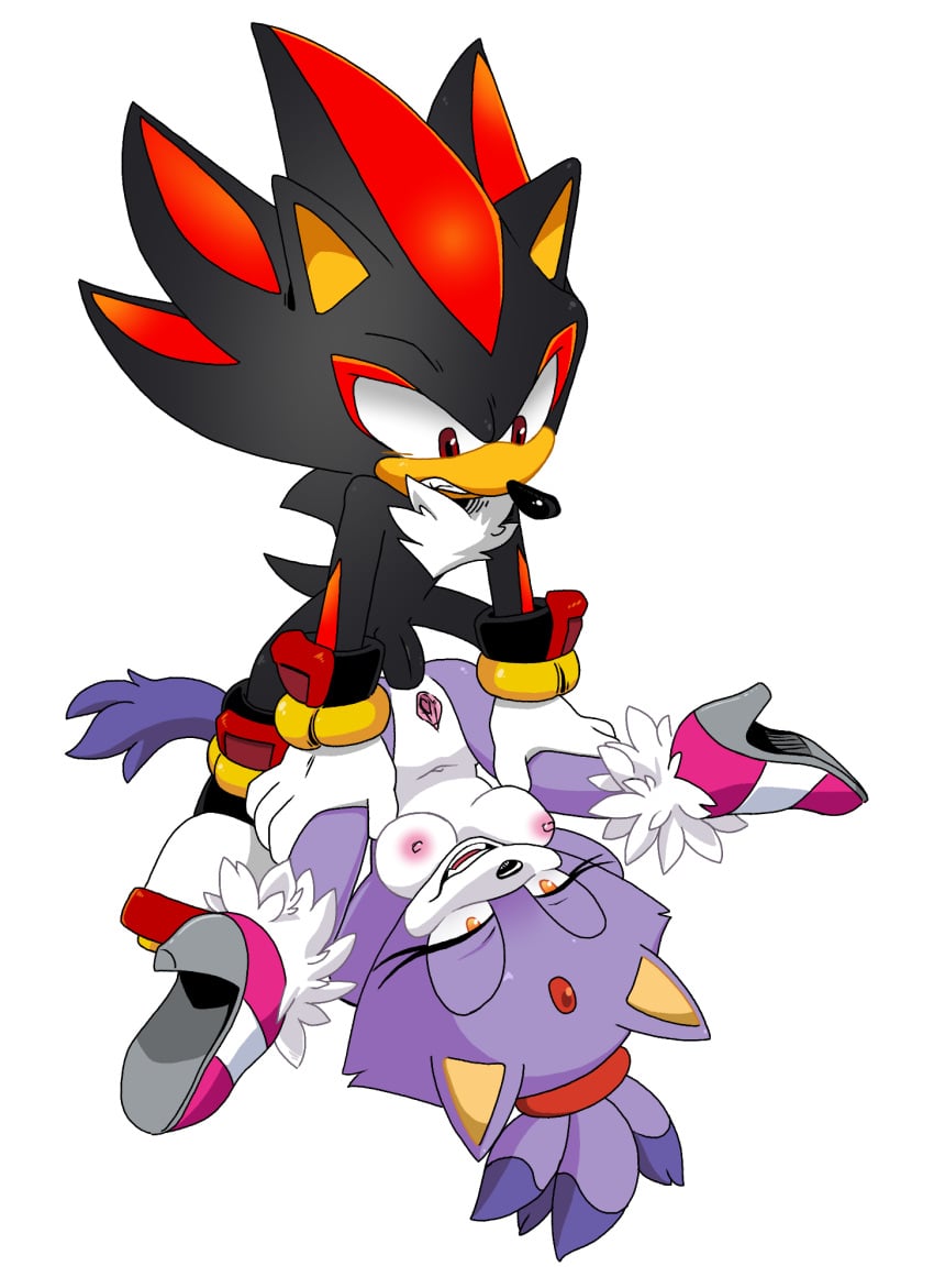 anal anthro blaze_the_cat lr_wtt mobian_(species) sega sex shadow_the_hedgehog sonic_(series) sonic_the_hedgehog_(series) video_games