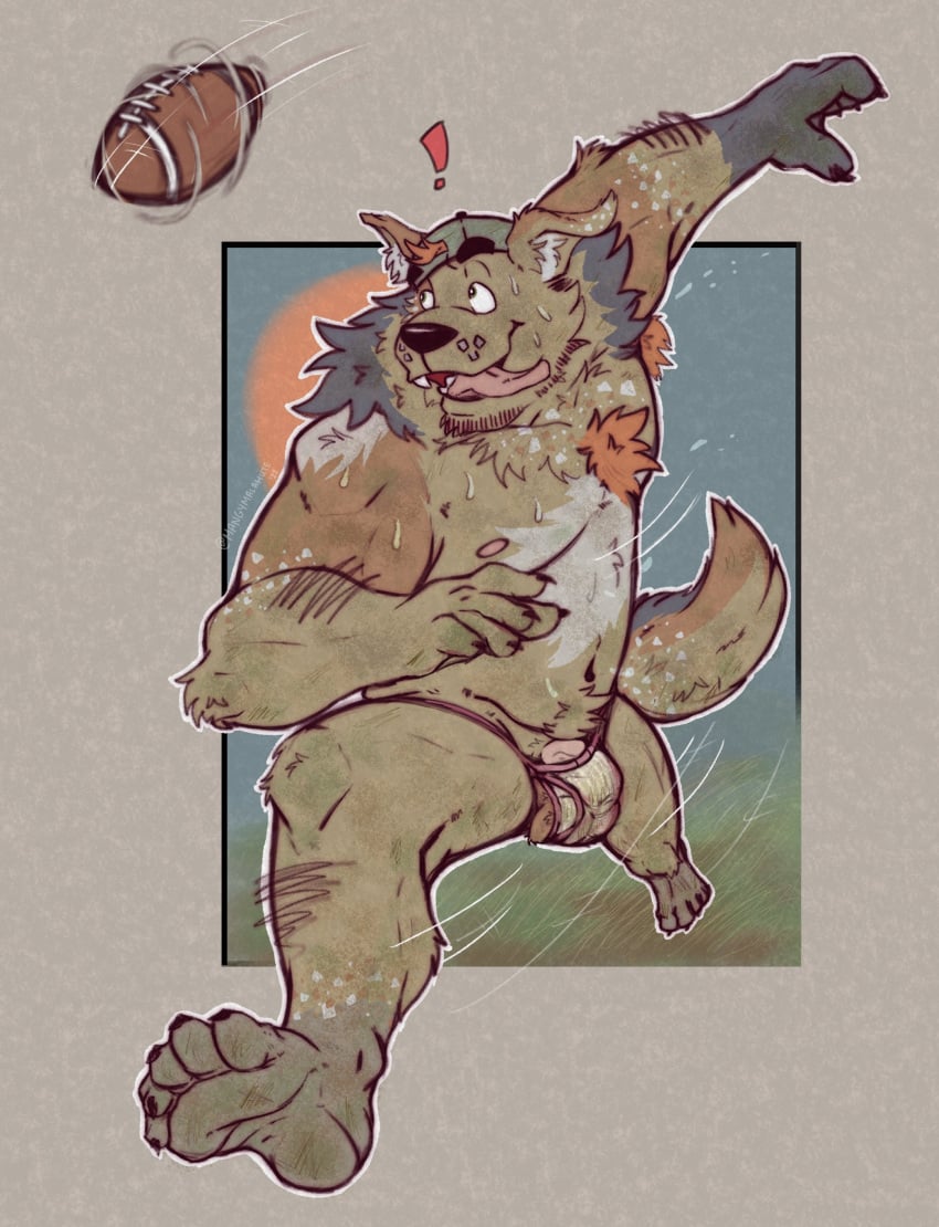 1boy absurd_res anthro armpit_hair ball balls body_hair bulge canid canine canis clothing domestic_dog exclamation_point football_(ball) genitals hat headgear headwear hi_res jockstrap male male_only mammal mangymalamute nipples penis running solo tongue tongue_out underwear