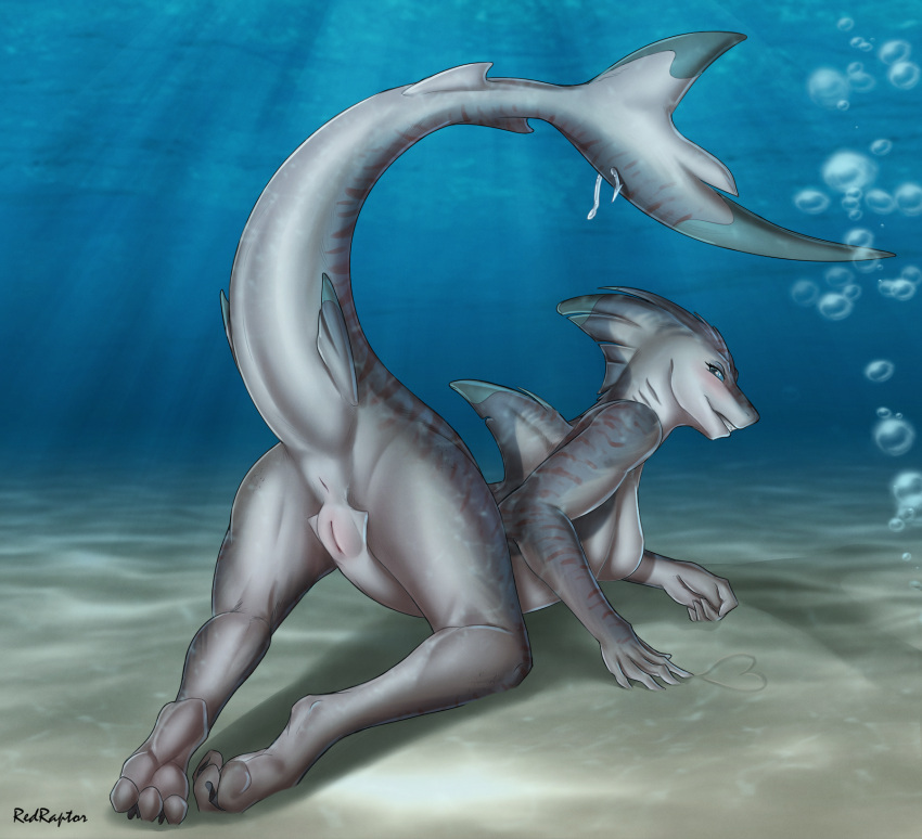 anthro anus breasts clothing featureless_breasts female fish genitals hi_res looking_at_viewer marine no_nipples non-mammal_breasts nude pussy redraptor16 shark smile solo underwear